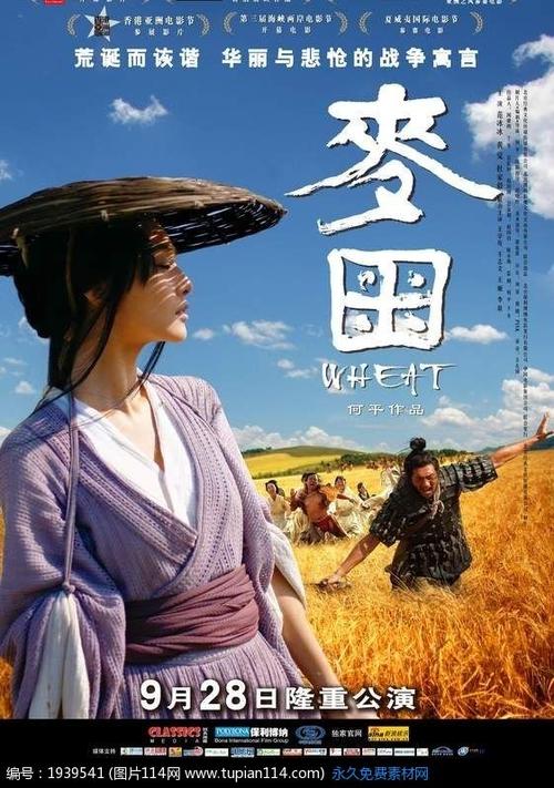 北卡罗来纳大学威尔明顿分校经济学文凭证书
